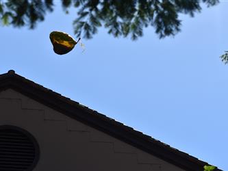 Heart shaped balloon.